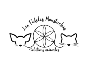 1. Les fidèles moustachus