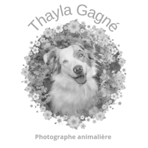15. TGphotographe animalière