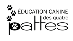 2. Éducation canine des quatres pattes