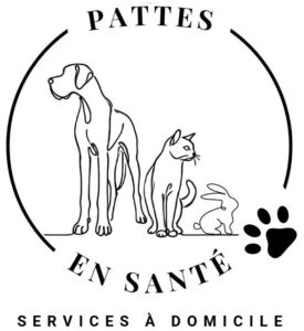 7. Pattes en santé